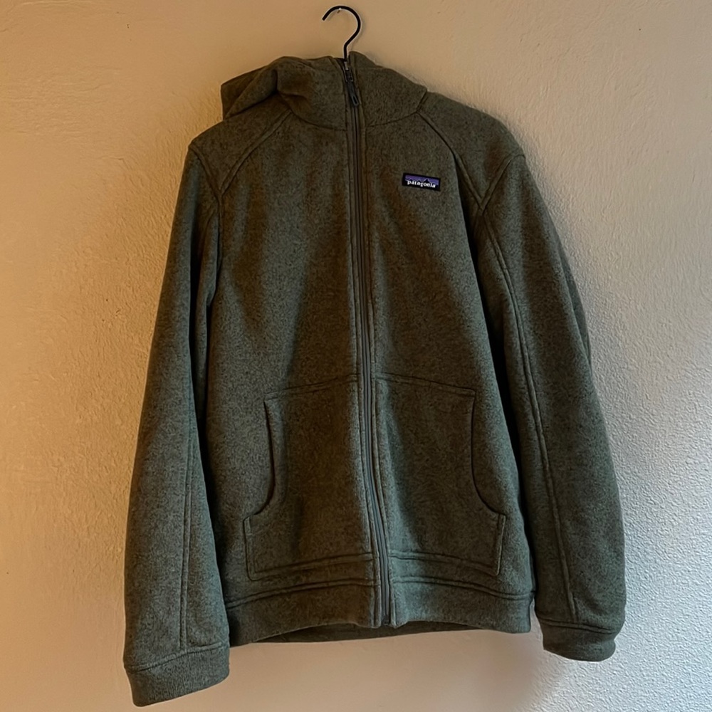 Patagonia Mens Better Sweater jacket with hood